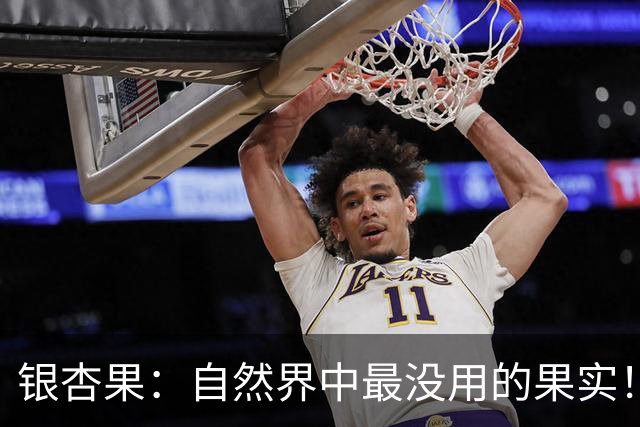 银杏果：自然界中最没用的果实！结果再多也一样沦为保护植物